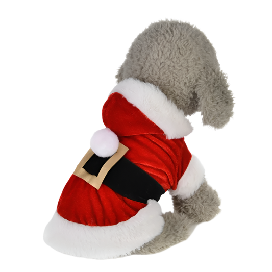 Santa Paws Hoodie