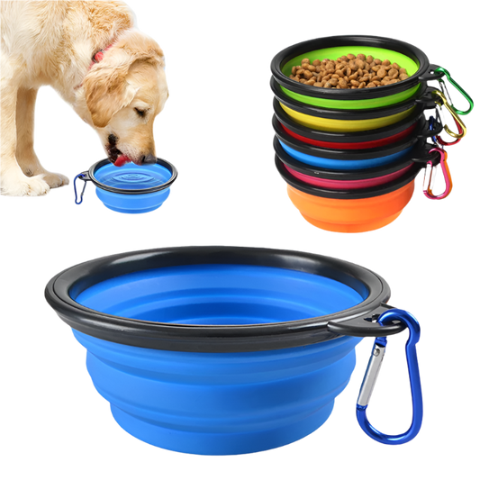 Silicone Bowl
