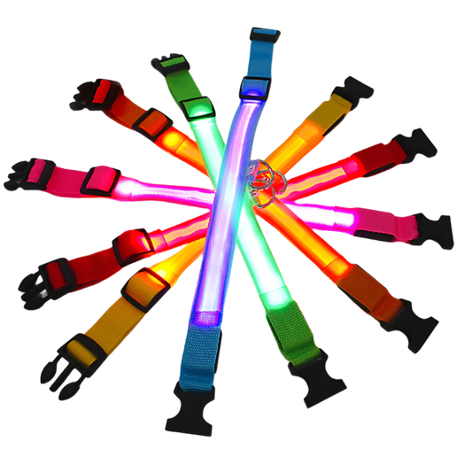 GlowGuard Paws Collar