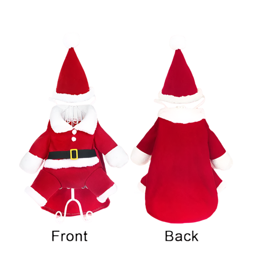 Santa's Little Helper Costume
