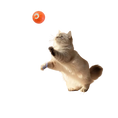 Load image into Gallery viewer, Smart Moving Ball