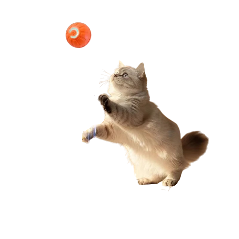 Smart Moving Ball