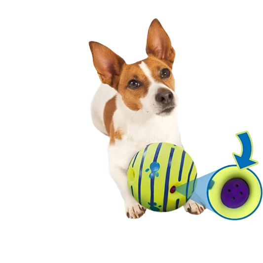 Glow Dog Giggle Ball