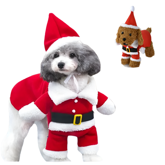 Santa's Little Helper Costume