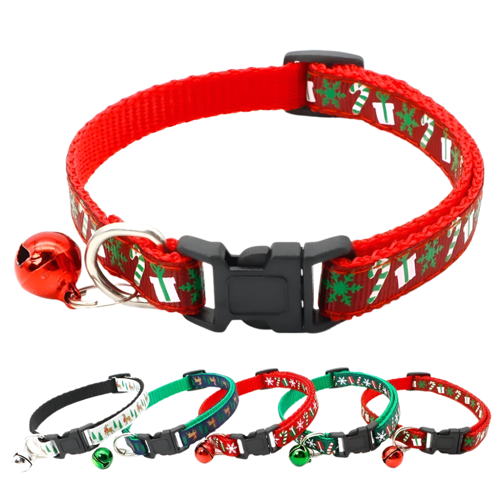 Jingle Pet Collar Set