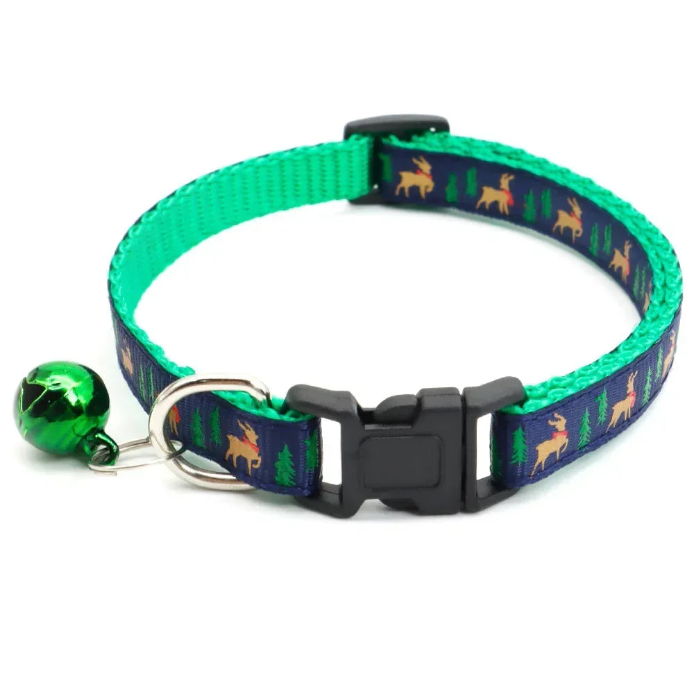 Jingle Pet Collar Set