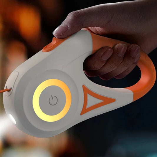Night LED Dog Leash