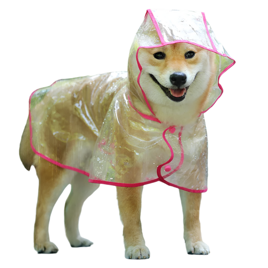 Raincoat