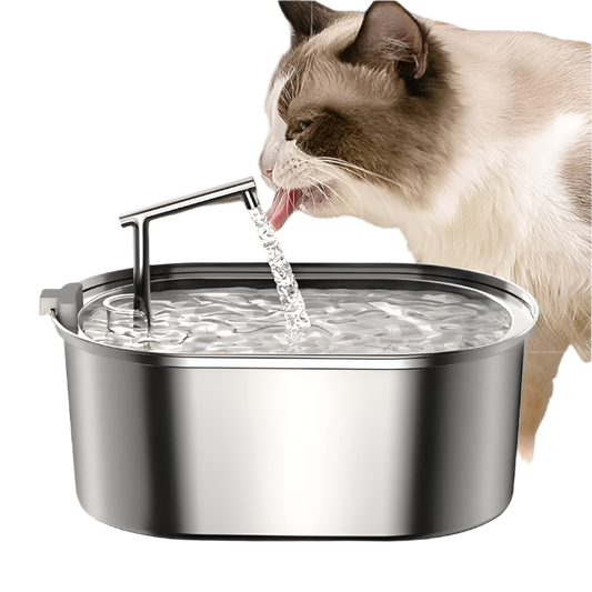 Steel Auto Cat Fountain