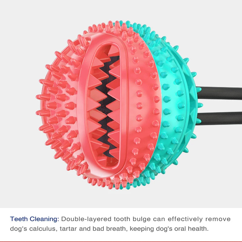 Dog Suction Ball