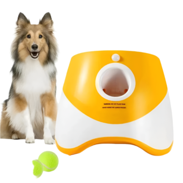 Automatic Ball Launcher