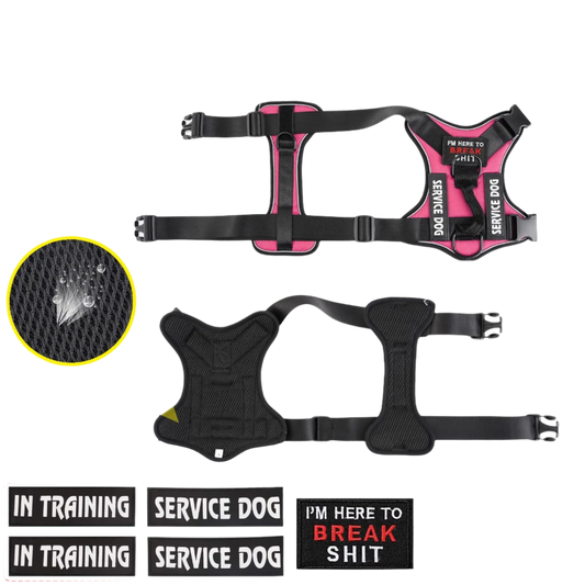 Reflective Harness