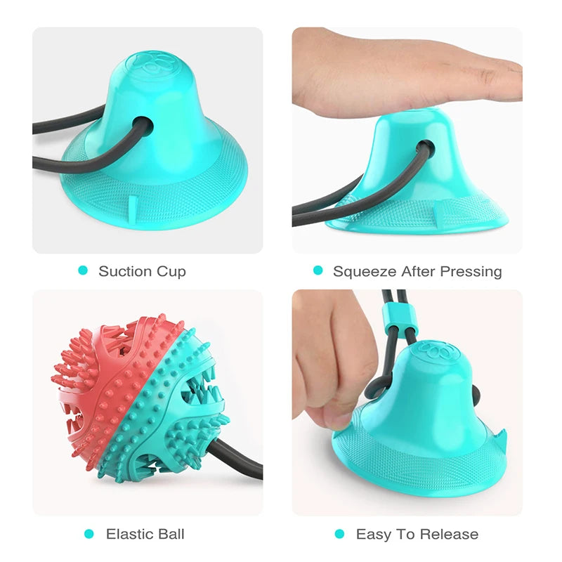 Dog Suction Ball