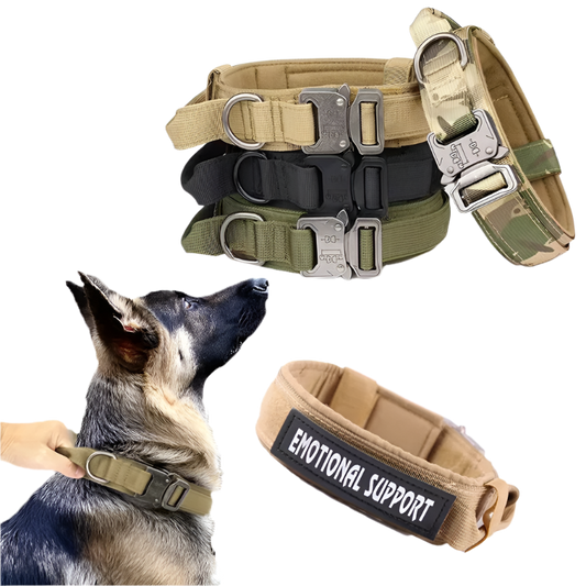 Elite Dog Collar