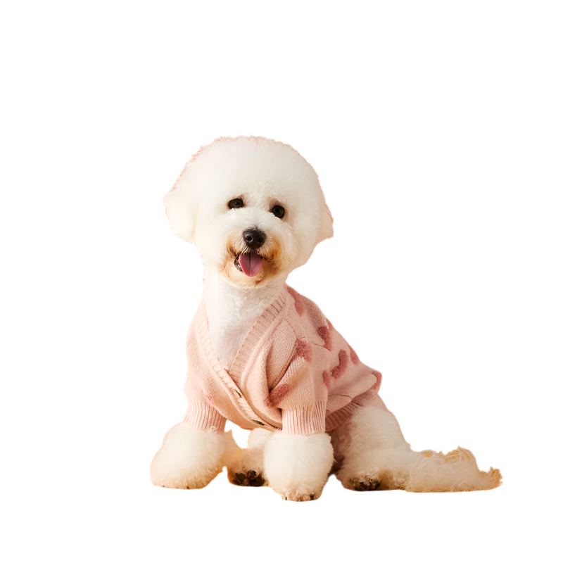 Dog Valentine's Sweater