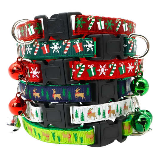 Jingle Pet Collar Set