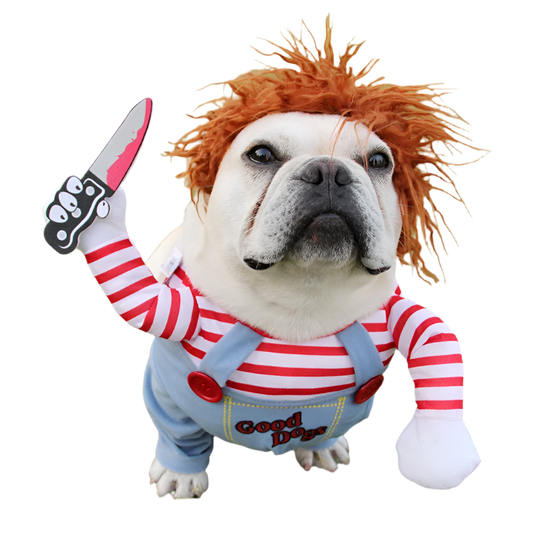 Halloween Dog Costume