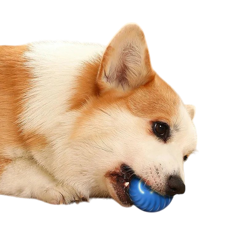 Smart Moving Ball