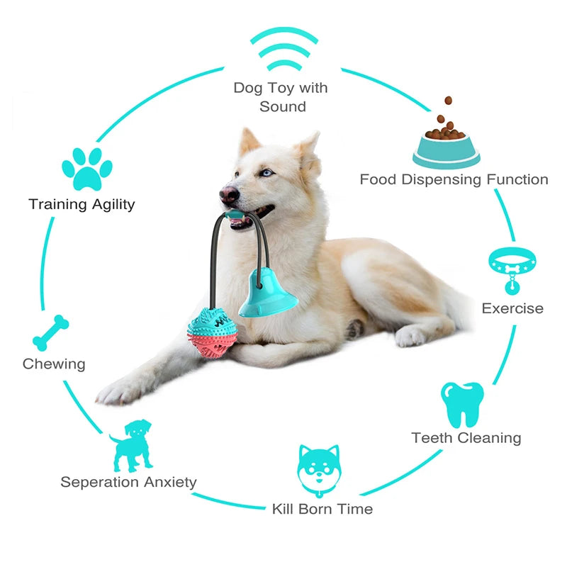 Dog Suction Ball