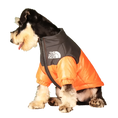 Load image into Gallery viewer, The Dog Face