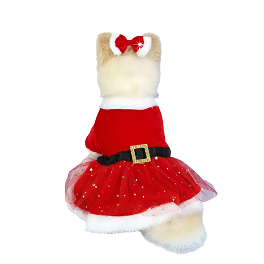 Holiday Fluff Dress