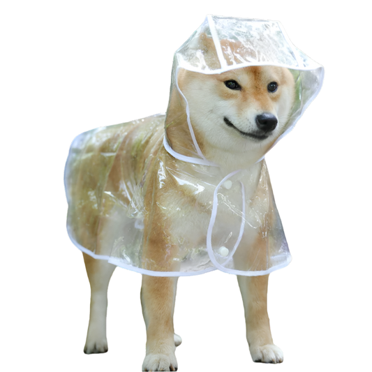 Raincoat