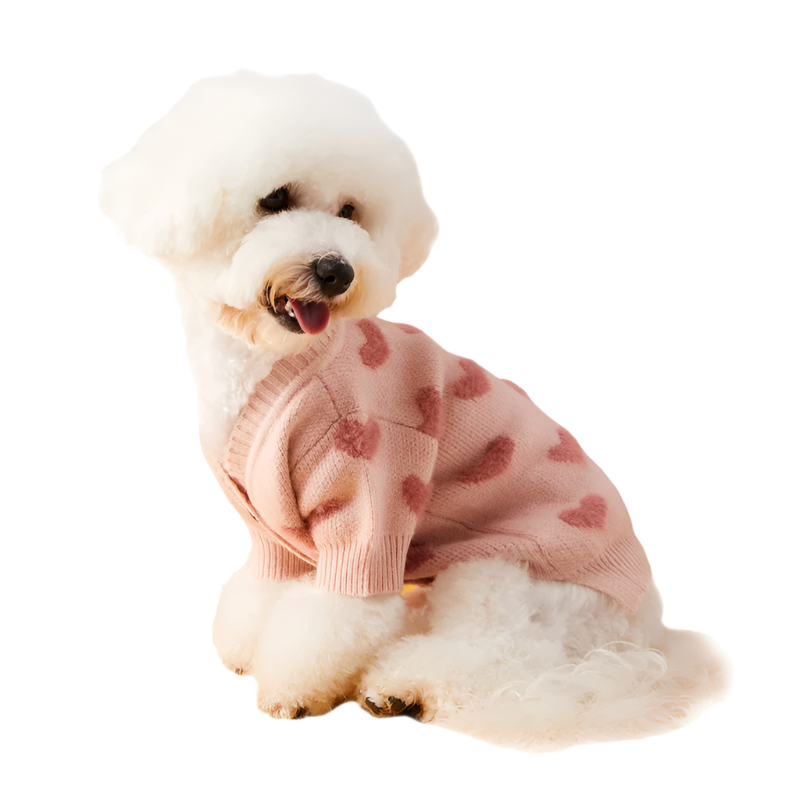 Dog Valentine's Sweater