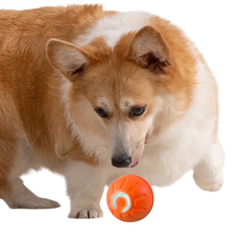 Smart Moving Ball