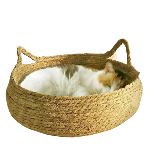 Vine Pet Bed