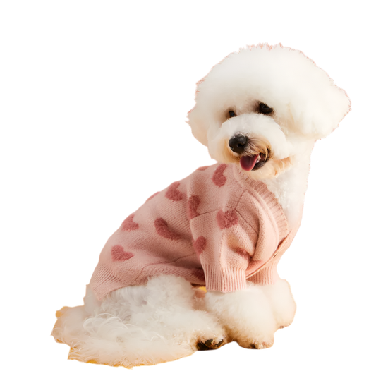 Dog Valentine's Sweater
