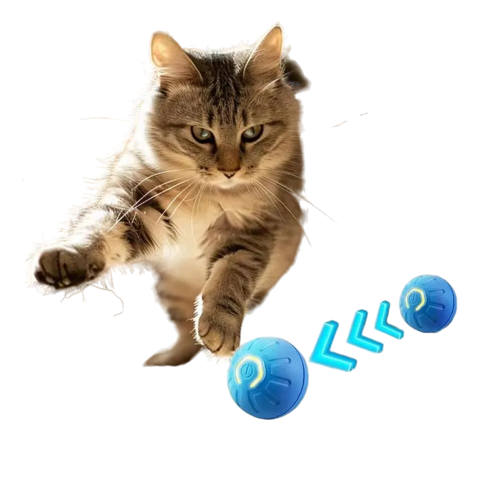 Smart Moving Ball