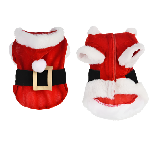 Santa Paws Hoodie