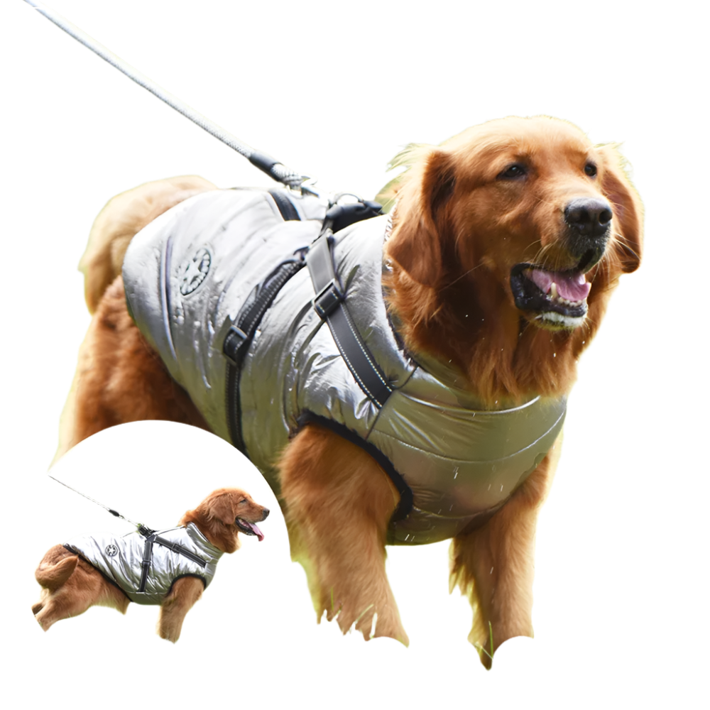 Big Dog Coat