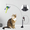 Load image into Gallery viewer, DoublePaws Suction Teaser