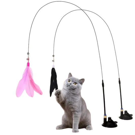 Feather Play Kit