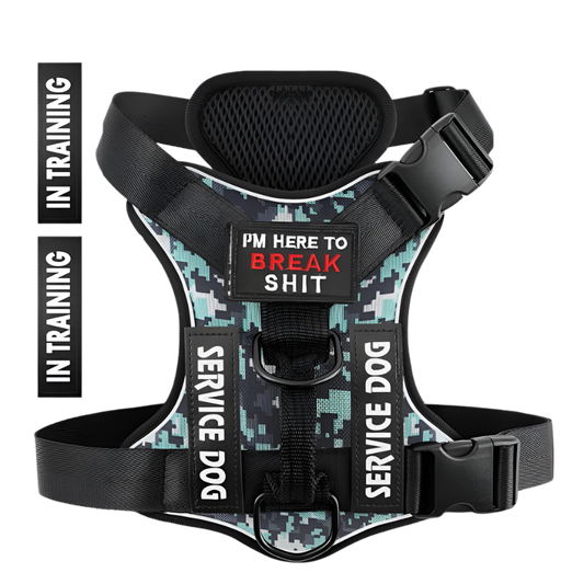 Reflective Harness