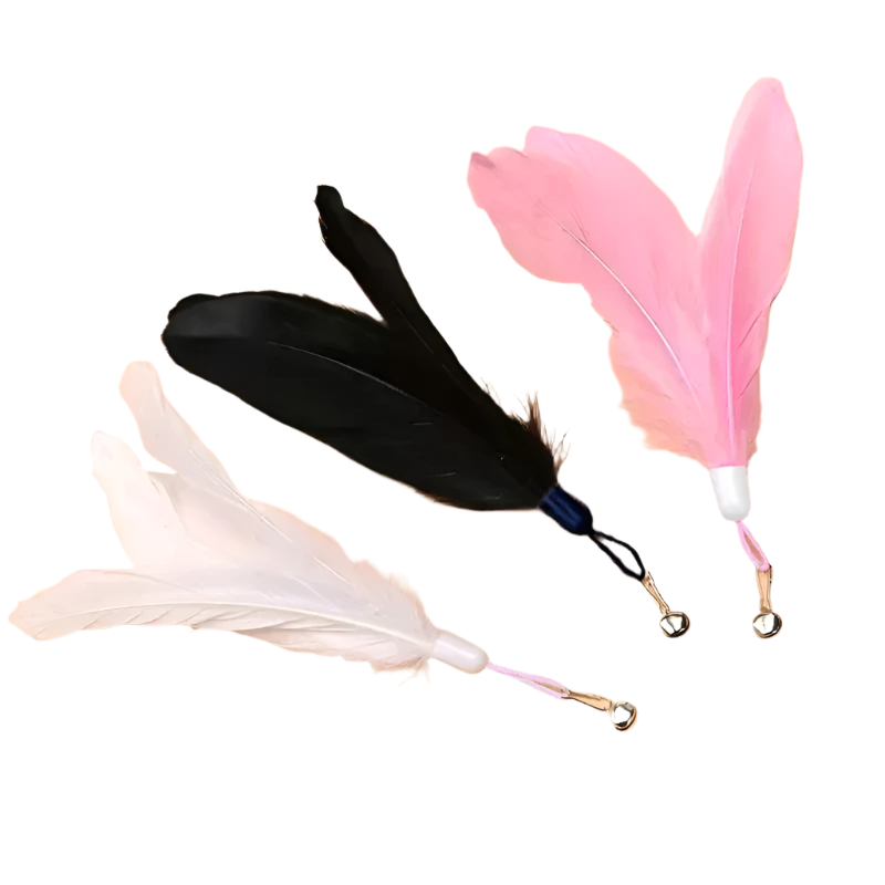 Feather Play Kit
