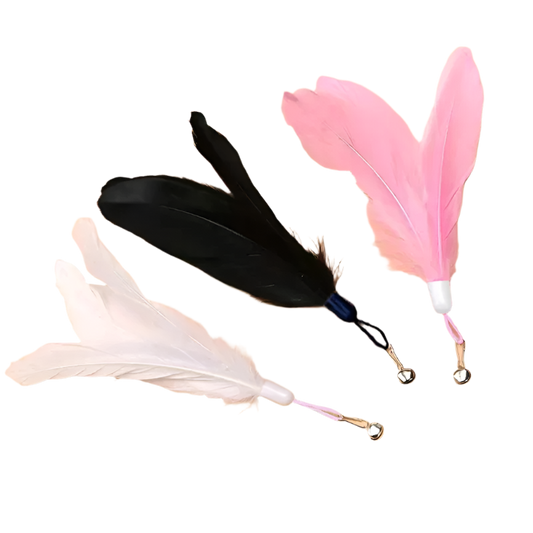 Feather Play Kit