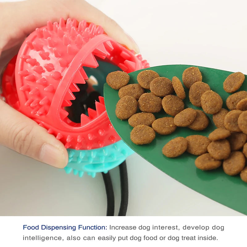 Dog Suction Ball
