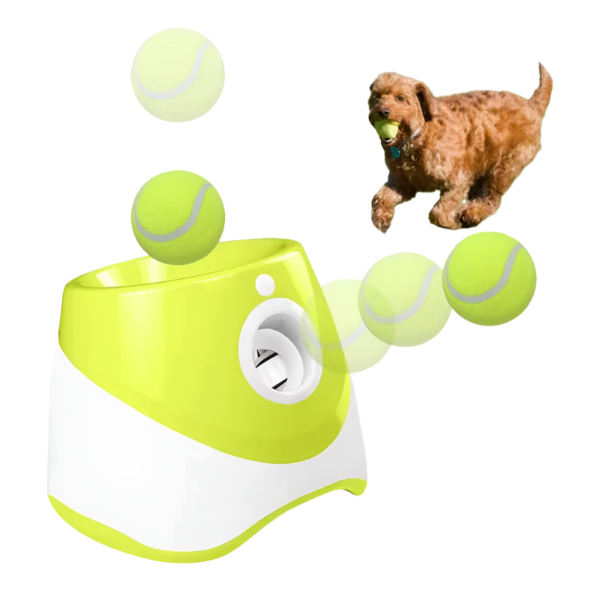 Automatic Ball Launcher