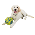 Load image into Gallery viewer, Glow Dog Giggle Ball