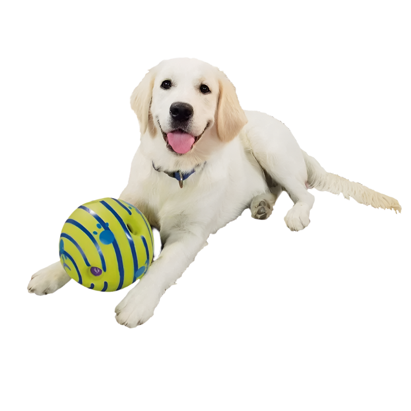 Glow Dog Giggle Ball