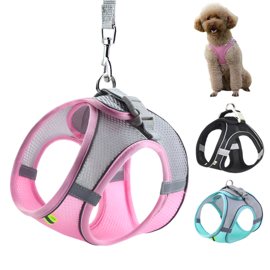 Puppy Outdoor Harness