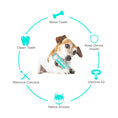 Load image into Gallery viewer, Dog Dental Stick