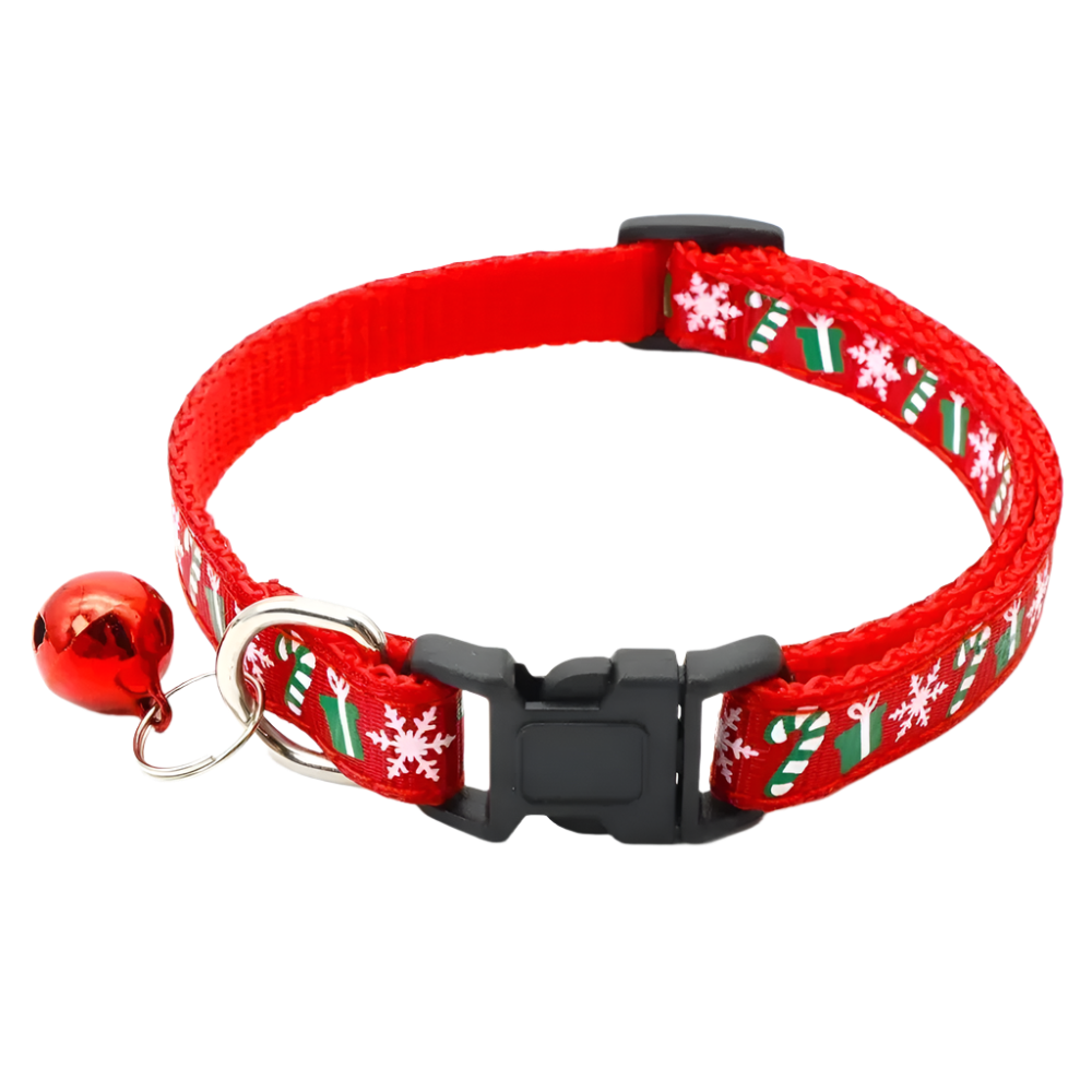 Jingle Pet Collar Set