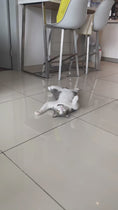 Load and play video in Gallery viewer, Smart Moving Ball