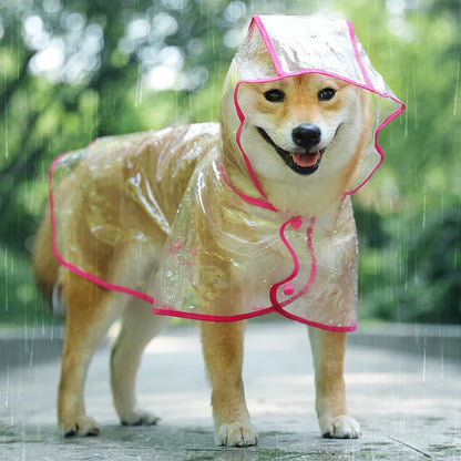 Raincoat