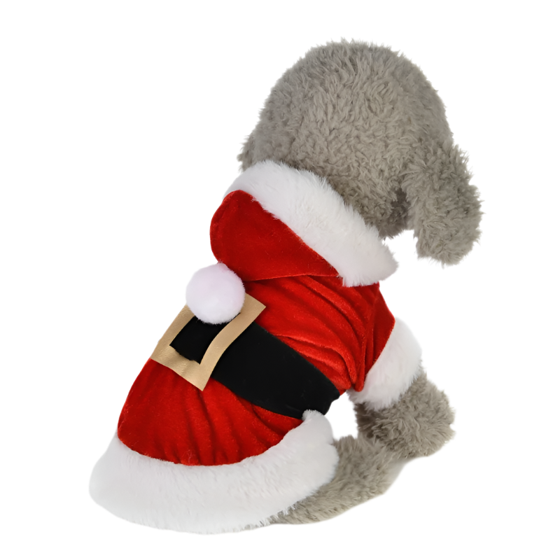 Santa Paws Hoodie