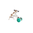Load image into Gallery viewer, Tumbler Toy
