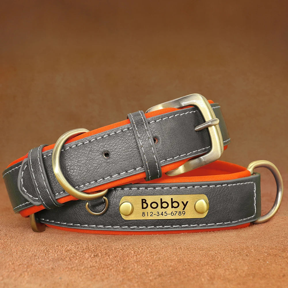 Custom Leather Collar